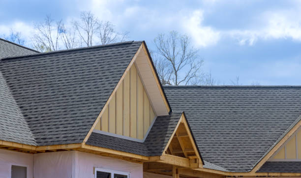Best Asphalt Shingle Roofing  in Day Heights, OH